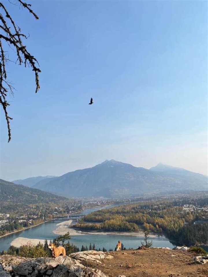 Dream Lounge Cannabis Revelstoke, BC Dispensary Leafly