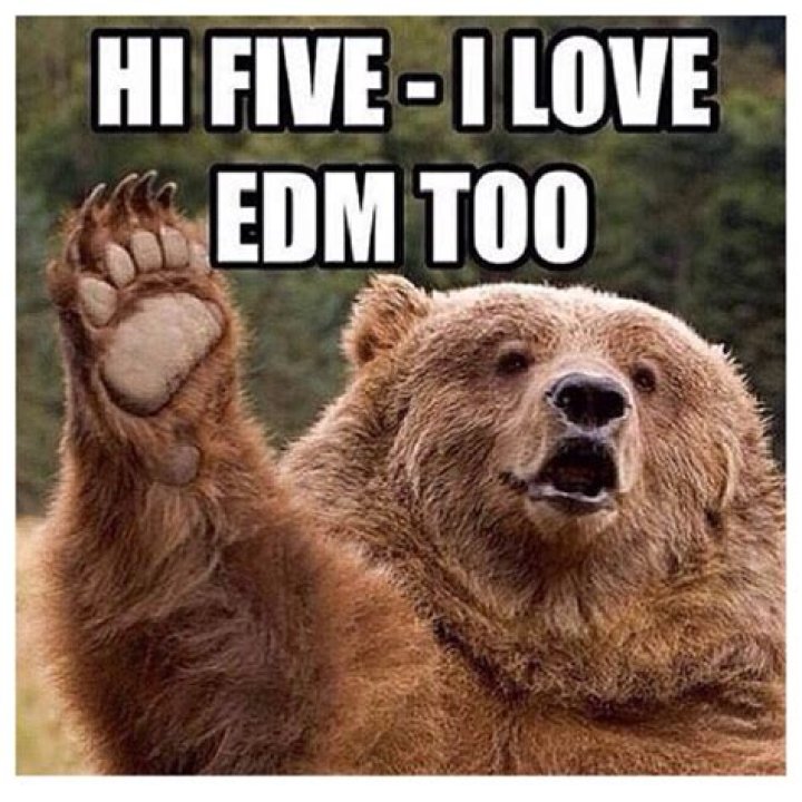 EDM Animals PLURNT Animals EDM Pets EDM Cats EDM Dogs