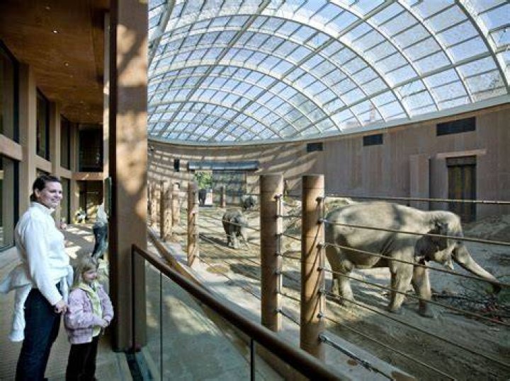 Elephant House, Copenhagen Zoo BuroHappold Engineering