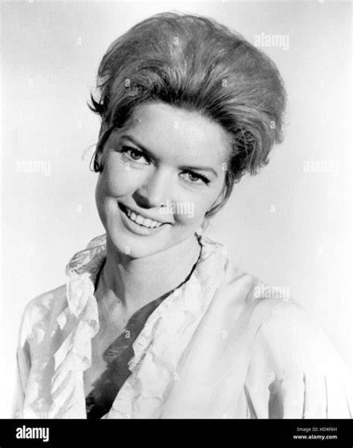 Ellen McRae (Ellen Burstyn) in Iron Horse (19671968) Ellen burstyn