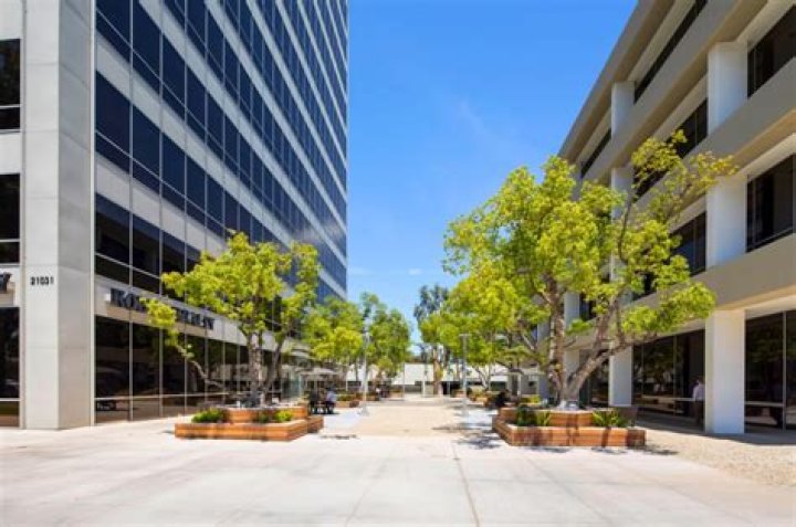 Elsa Walsh &mdash; 21031 Ventura Boulevard 100