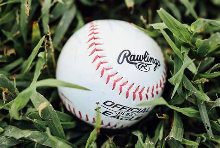 Exploring The Financial Success Of A Unique Baseball Team