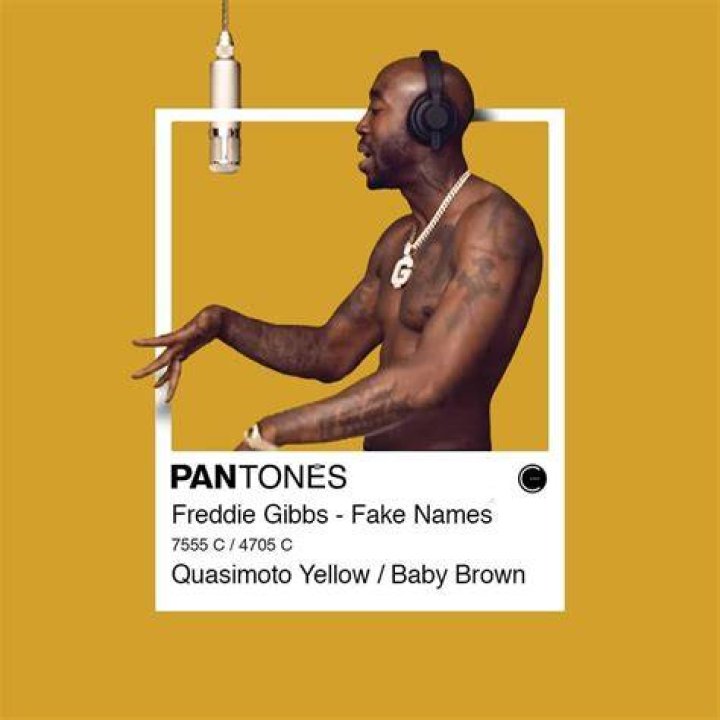 Fake Names - Freddie Gibbs - country songs with girl names in the title
