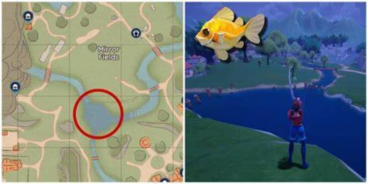 Fishing Pond Locations