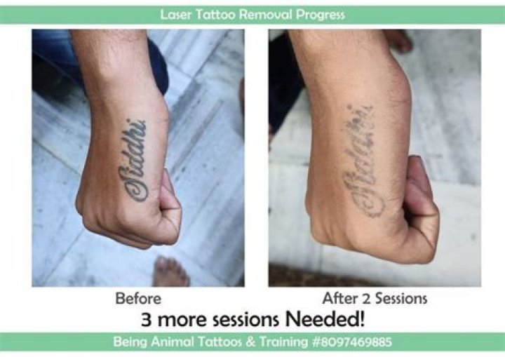 From Tattoos to Training How Recent Changes Policy are Reshaping the