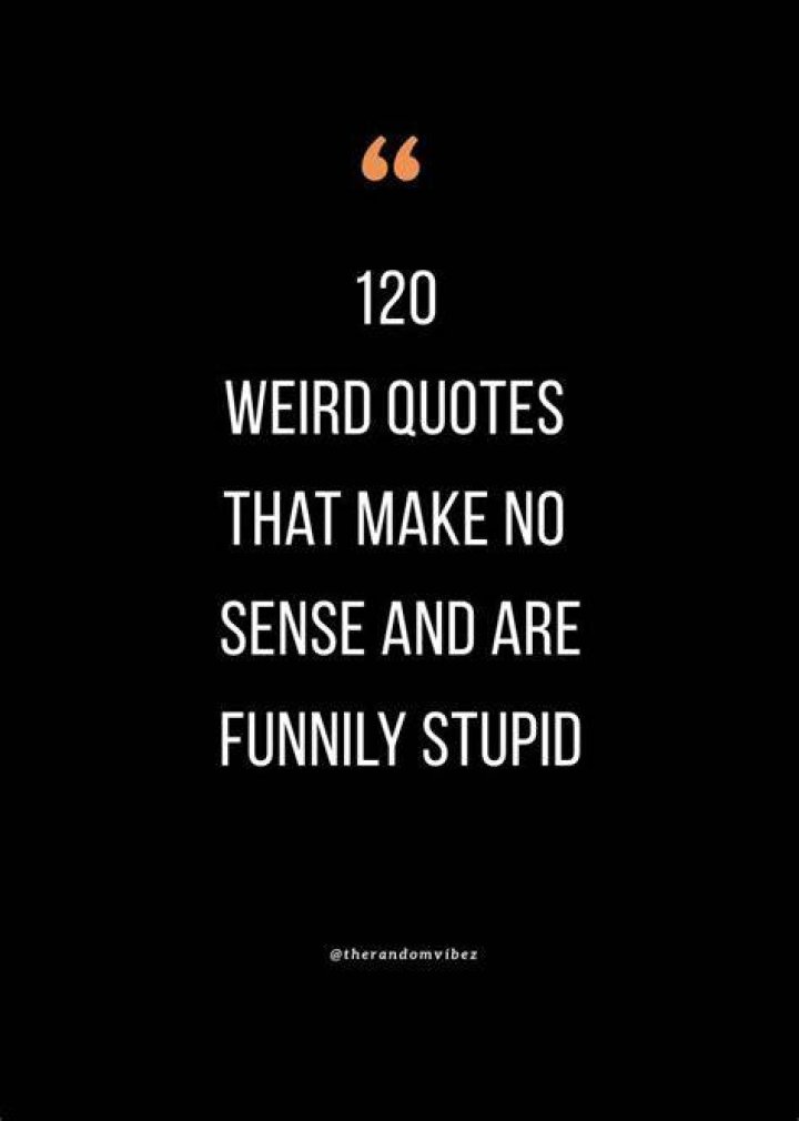 Funny Quotes That Make No Sense. QuotesGram