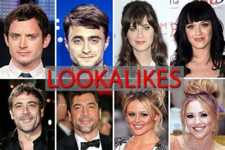 GALLERY Celebrity LookaLikes