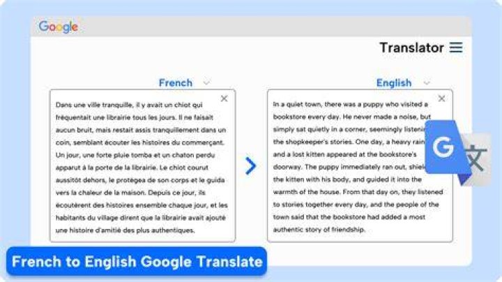 Google Translate translating the French literary text into English