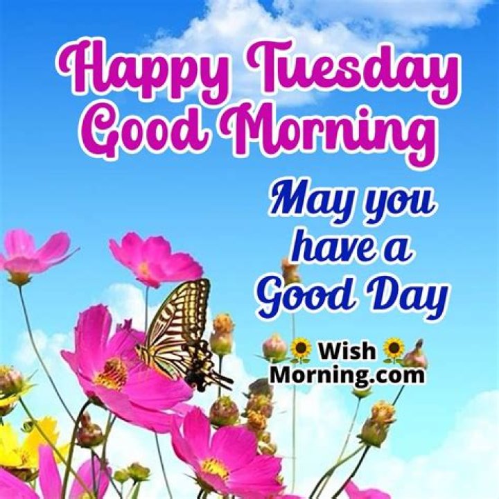 Happy Tuesday, Good Morning Quotes, Tableware, Oscar, Amor, Cute Good