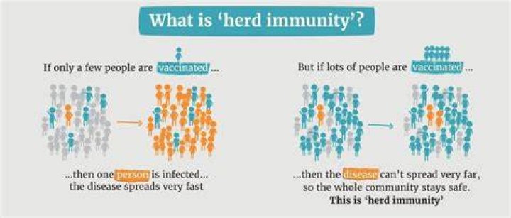 Herd immunity may not be achievable in fight against coronavirus Fox News