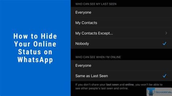 Hide Your Online Status In WhatsApp In 2022