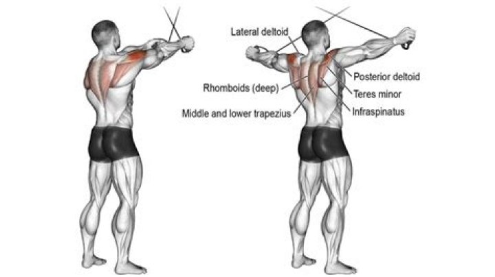 High Cable Rear Delt Fly Expert 217 Min Howto Video
