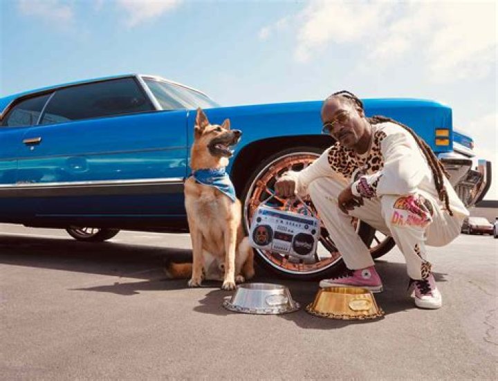How many car does Snoop Dogg have? Celebrity.fm #1 Official Stars, Business & People Network ·