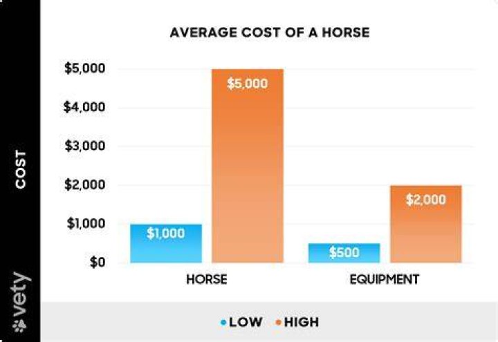 How much is the average horse ejaculation?