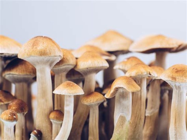 How psychedelic mushrooms helped pro surfer Koa Smith