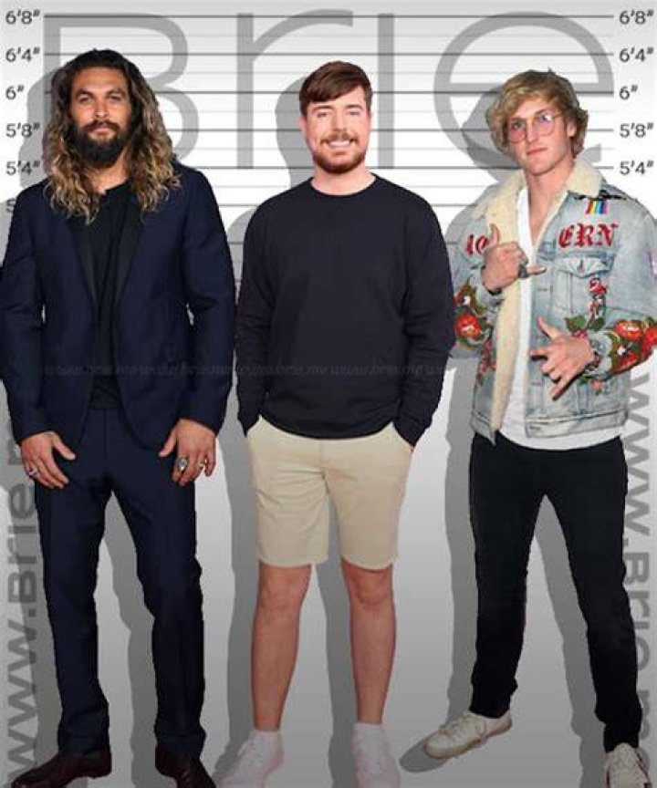 How Tall Are The MrBeast Members?