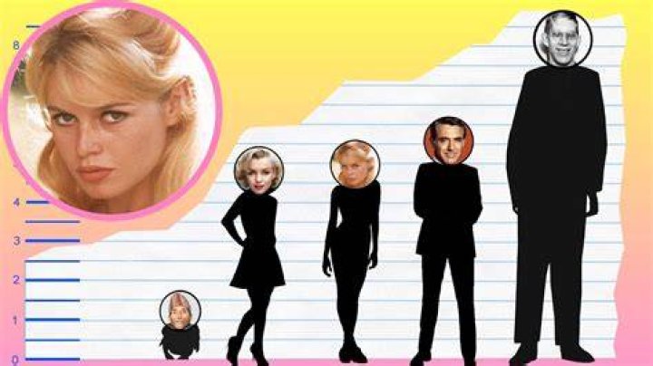 How Tall Is Brigitte Bardot? Height Comparison! YouTube