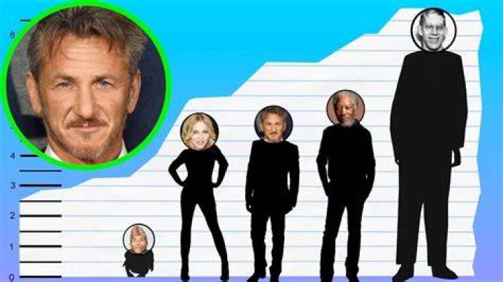 How Tall Is Sean Penn? Height Comparison! YouTube