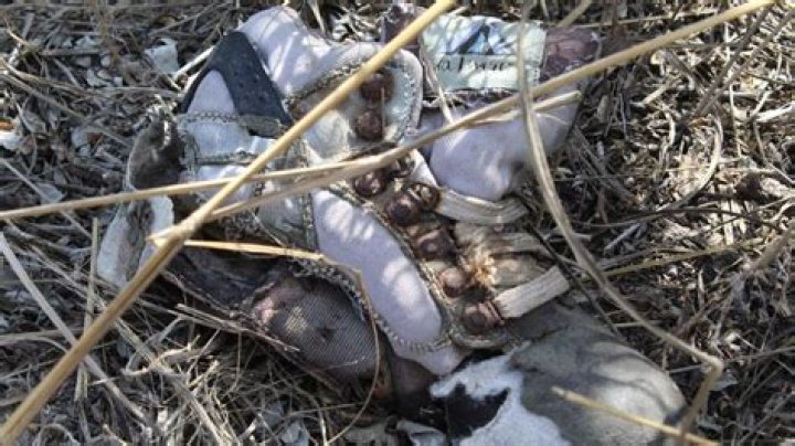 Human remains found in 1984 identified as youngest known victim of