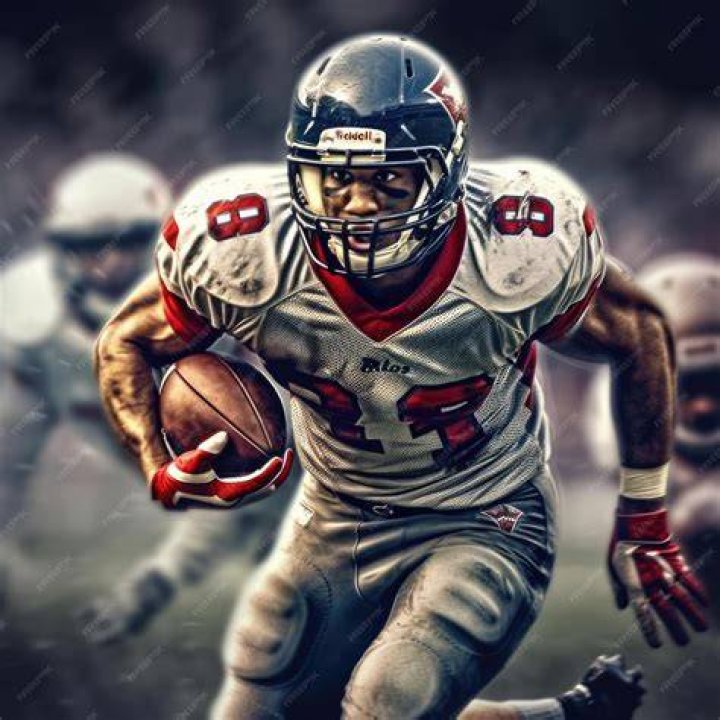 Image of American football player, David Pollack net worth is $500,000