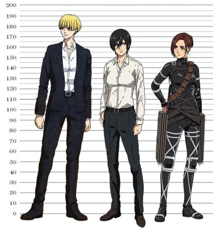 Interesting fact Mikasa (176 cm) and Sasha (173 cm) are the 2nd and