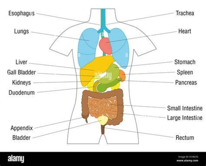 Internal organs 'meticulously removed' from Christine Silawan's body