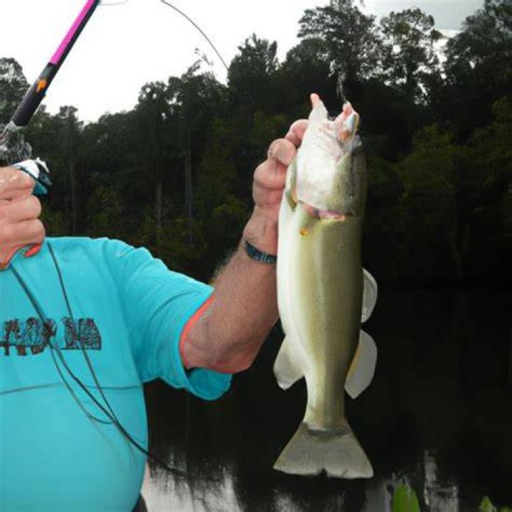 Is Bill Dance Dead? Exploring the Life and Legacy of the Legendary