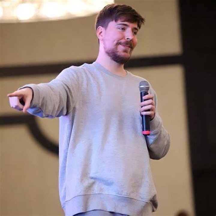 Is Mr. Beast In A Relationship?