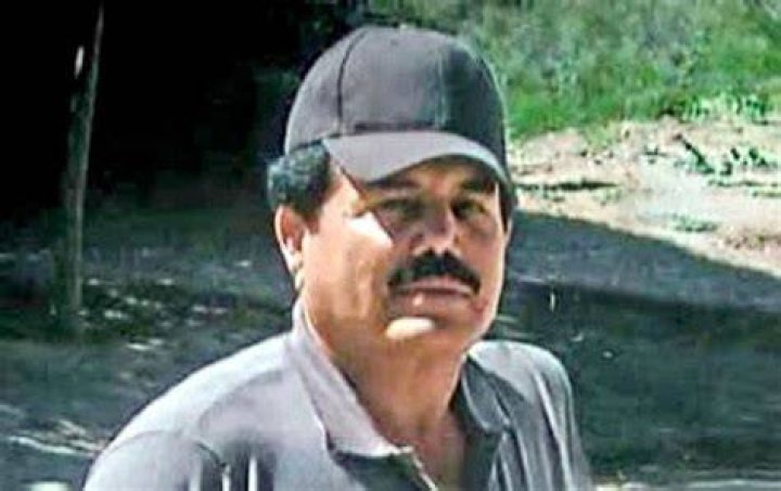 Ismael El Mayo Zambada Net Worth And Associate Drug Lords by Samuel