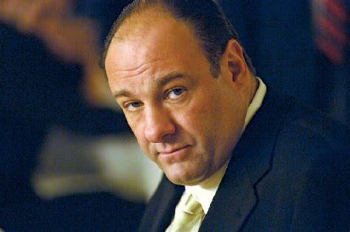 James Gandolfini's Son Michael Admits There's Pressure Playing Tony