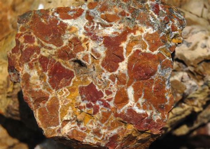 Jasper Wikipedia