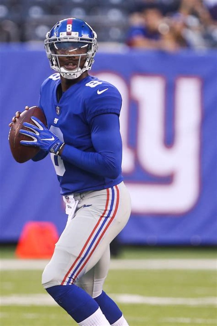 Jets Sign Josh Johnson To Practice Squad