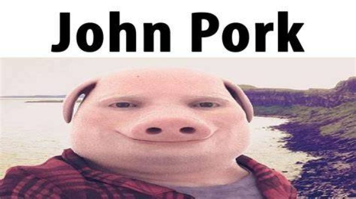 John Pork Loraxian Wiki Fandom