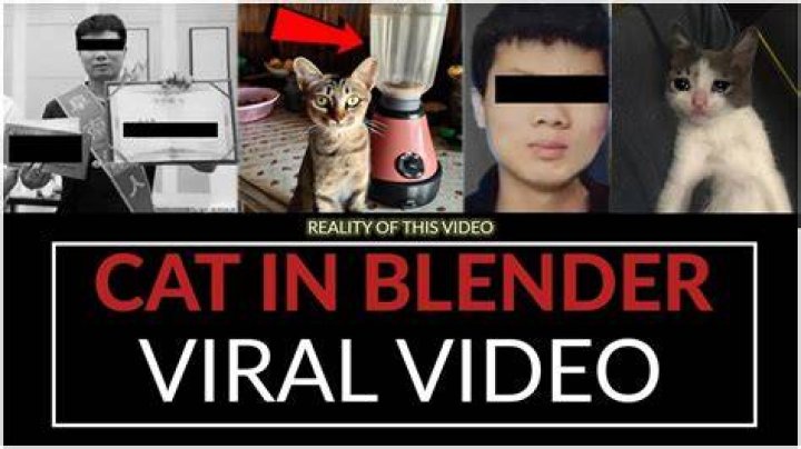 Kat Blender Video Twitter (Full Video)