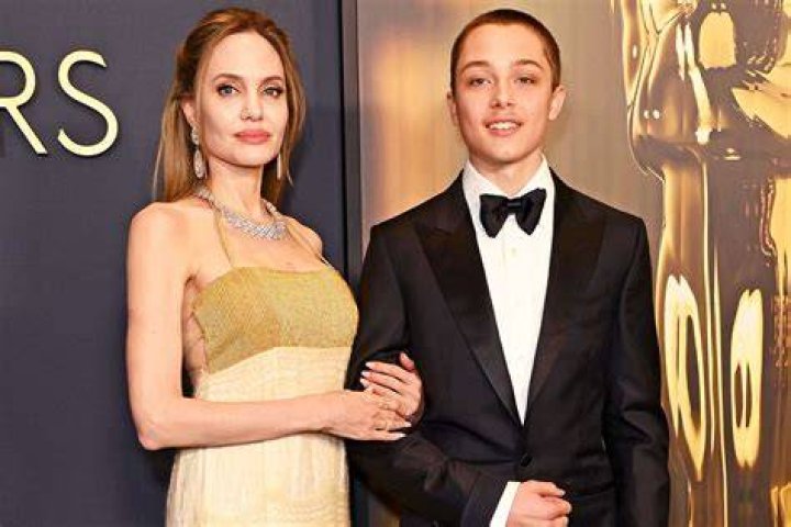Knox Jolie Pitt, Angelina Jolie, Vivienne Jolie, Brad Pitt, Fame