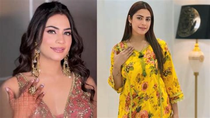 Kritika Malik Wiki, Height, Age, Husband, Family, Biography & More