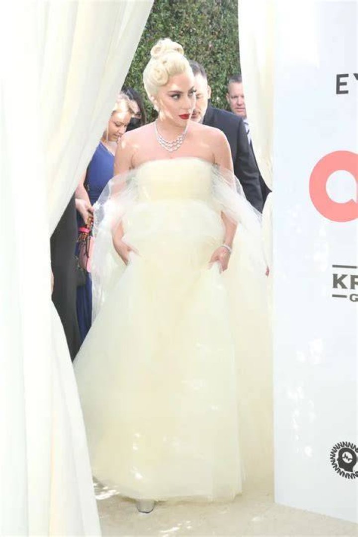 Lady Gaga's Pregnancy Journey Unveiled