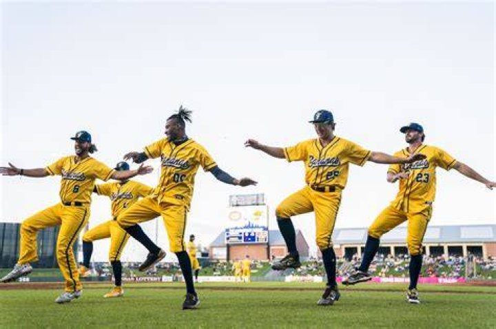 leadershipYES savannah bananas fans first
