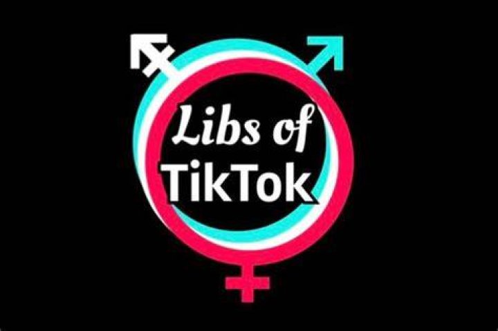 Libs Of Tiktok On Twitter Ellen Paige With Dylan Mulvaney Before It