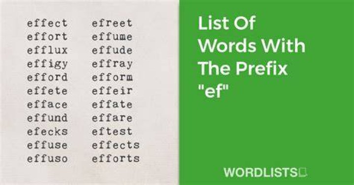 List of Words Ending With 'ef'