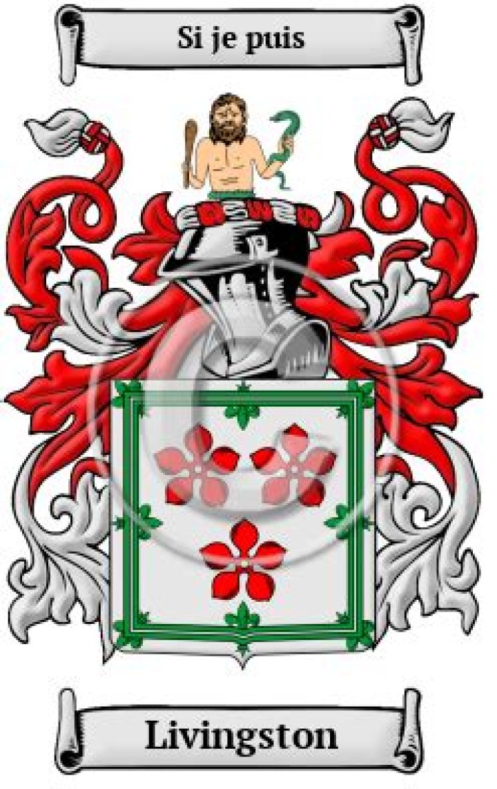 Livingston Meaning of Name