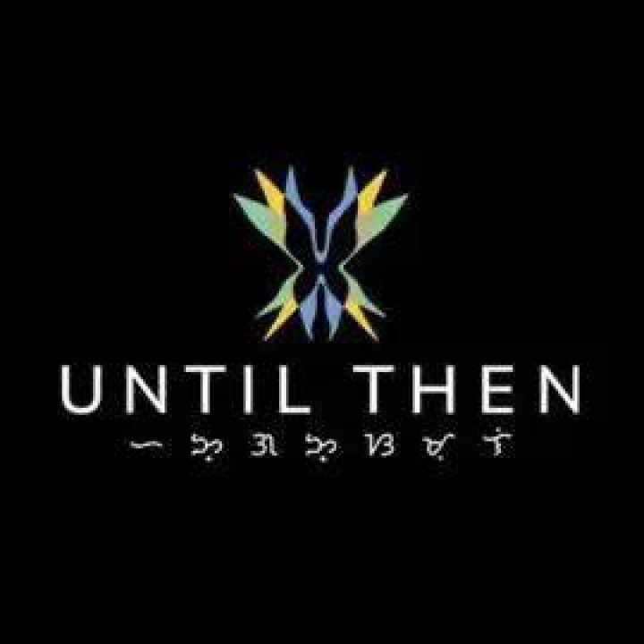 Logo of Until the Last Plane