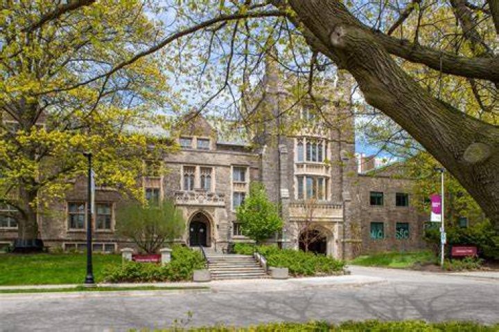 Maya Eriksen McMaster University Hamilton, Ontario, Canada LinkedIn