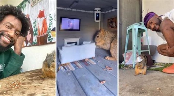 Meet Derrick Downey Jr. The Squirrel Whisperer Celebrity Pets