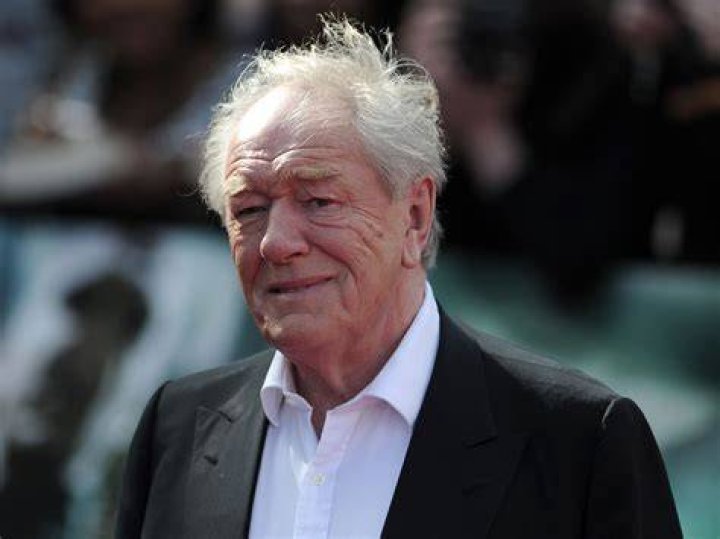 Michael Gambon Actor