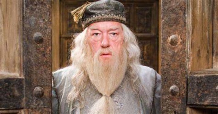 Michael Gambon's Personal Life How Did The 'Harry Potter' Actor