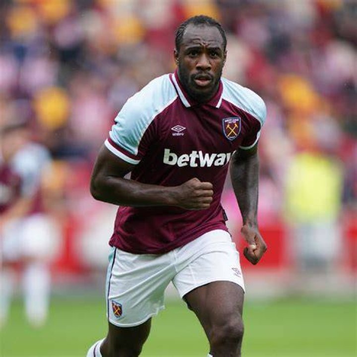 Michail Antonio Profile