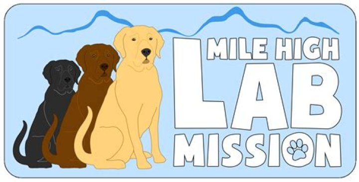 Mile High Lab Mission Colorado Labrador Retriever Rescue