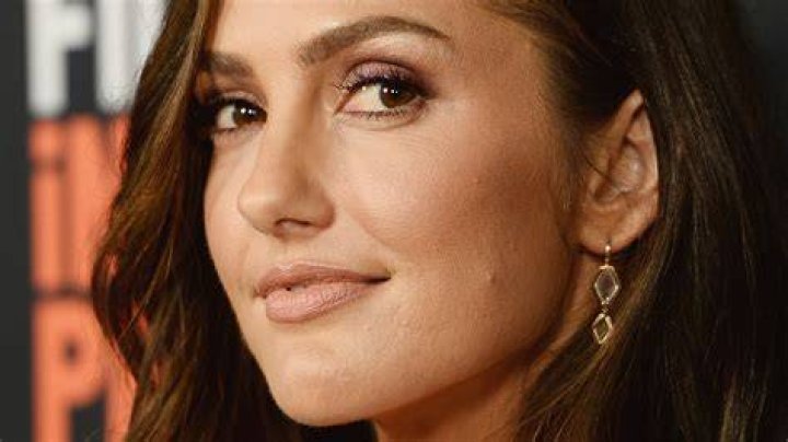 Minka Kelly Was Once Secretly Engaged To This Baseball Star