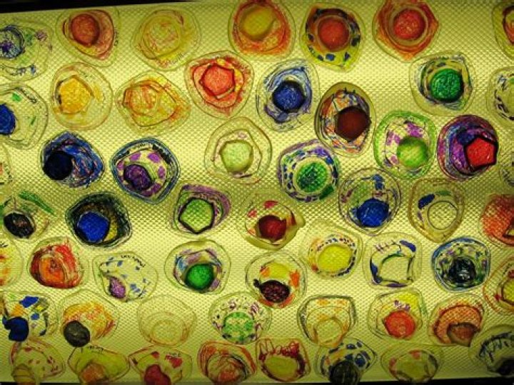 MNPS Chihuly Art Lessons Hermitage Elementary Grand Finale